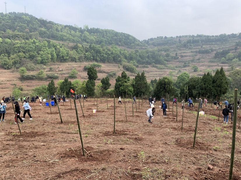 b647592b628bdd45780e7217acf92de b647592b628bdd45780e7217acf92de