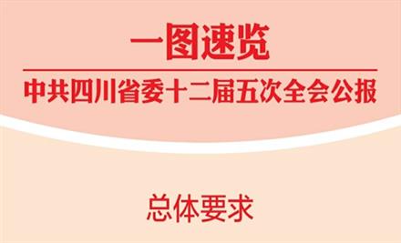 一图速览中共四川省委十二届五次全会公报